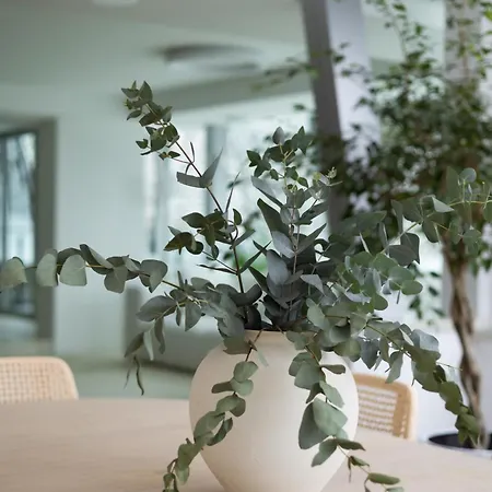 דירה Boutique Penthouse *